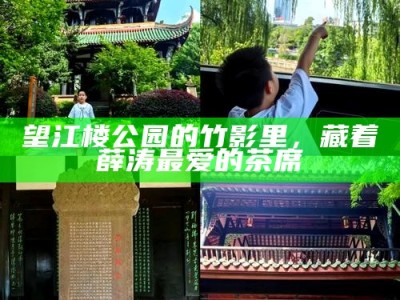 望江楼公园的竹影里，藏着薛涛最爱的茶席