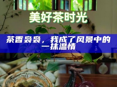 茶香袅袅，我成了风景中的一抹温情