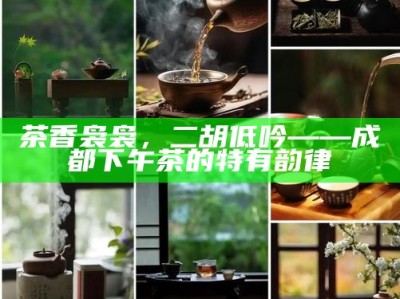 茶香袅袅，二胡低吟——成都下午茶的特有韵律