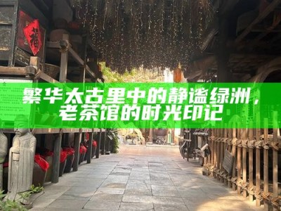 繁华太古里中的静谧绿洲，老茶馆的时光印记