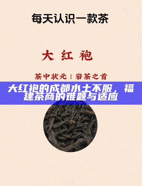 大红袍的成都水土不服，福建茶商的难题与适应