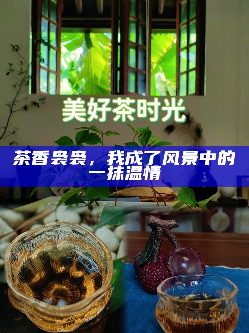 茶香袅袅，我成了风景中的一抹温情