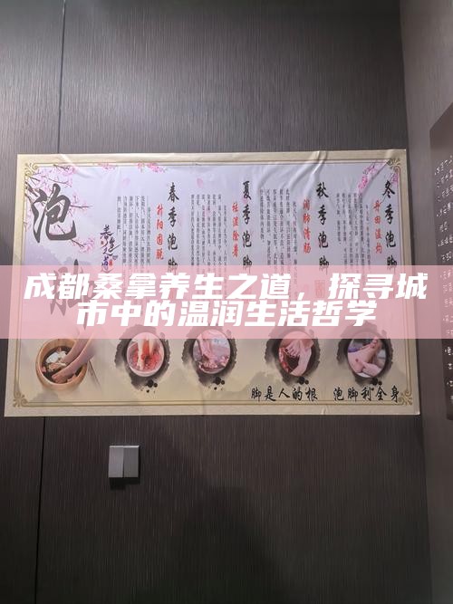 成都桑拿养生之道，探寻城市中的温润生活哲学